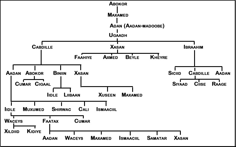 Abtirsiinta Aadan-madoobe